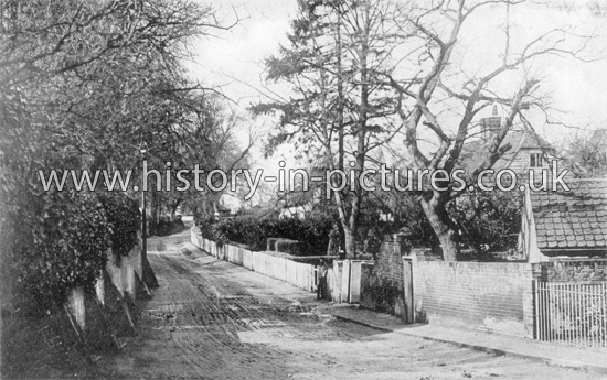 Galleywood Road, Great Baddow, Chelmsford, Essex. c.1906